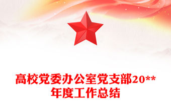 高校黨委辦公室黨支部20**年度工作總結