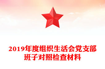 2019年度組織生活會黨支部班子對照檢查材料