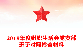 2019年度組織生活會黨支部班子對照檢查材料