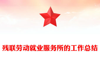 殘聯勞動就業服務所的工作總結