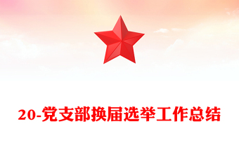 20-黨支部換屆選舉工作總結(jié)
