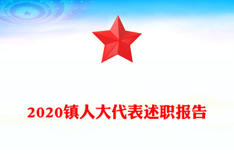 2020鎮(zhèn)人大代表述職報(bào)告
