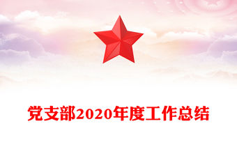 黨支部2020年度工作總結