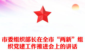 市委組織部長在全市“兩新”組織黨建工作推進會上的講話