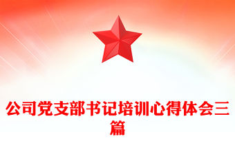 公司黨支部書記培訓(xùn)心得體會(huì)三篇