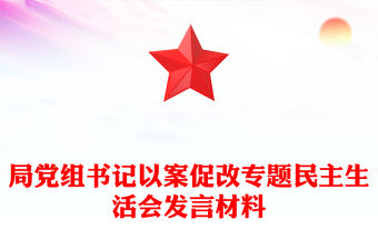 局黨組書記以案促改專題民主生活會發(fā)言材料