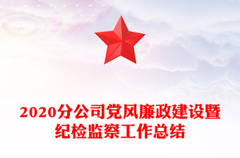 2020分公司黨風廉政建設暨紀檢監察工作總結