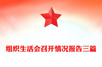 組織生活會召開情況報告三篇