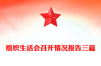 組織生活會(huì)召開情況報(bào)告三篇