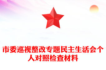 市委巡視整改專題民主生活會個人對照檢查材料