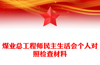 煤業(yè)總工程師民主生活會(huì)個(gè)人對(duì)照檢查材料