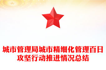 城市管理局城市精細化管理百日攻堅行動推進情況總結