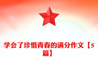 學(xué)會了珍惜青春的滿分作文【5篇】