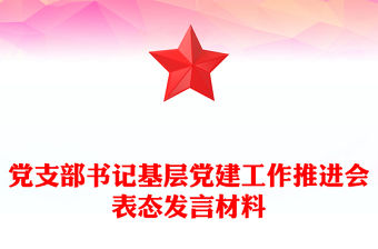 黨支部書記基層黨建工作推進會表態發言材料