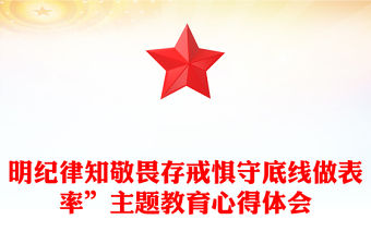明紀律知敬畏存戒懼守底線做表率”主題教育心得體會