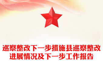 巡察整改下一步措施縣巡察整改進展情況及下一步工作報告