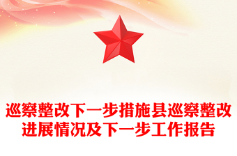 巡察整改下一步措施縣巡察整改進展情況及下一步工作報告