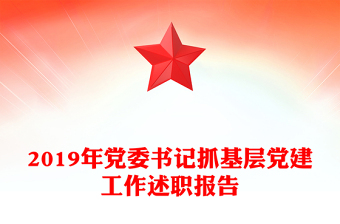 2019年黨委書記抓基層黨建工作述職報(bào)告
