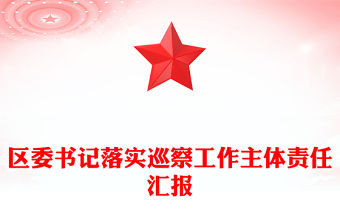 區委書記落實巡察工作主體責任匯報