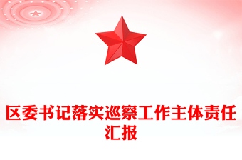 區(qū)委書記落實巡察工作主體責任匯報