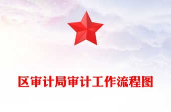 區(qū)審計局審計工作流程圖