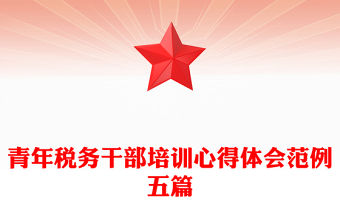 青年稅務(wù)干部培訓(xùn)心得體會(huì)范例五篇