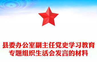 縣委辦公室副主任黨史學(xué)習教育專題組織生活會發(fā)言的材料