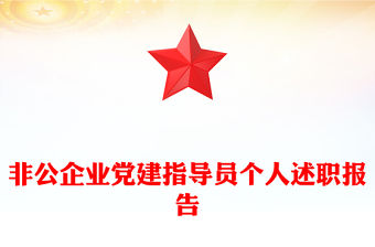 非公企業黨建指導員個人述職報告