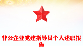 非公企業(yè)黨建指導員個人述職報告