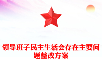 領導班子民主生活會存在主要問題整改方案