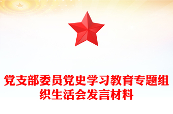 黨支部委員黨史學(xué)習(xí)教育專題組織生活會(huì)發(fā)言材料