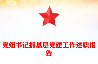 黨組書(shū)記抓基層黨建工作述職報(bào)告