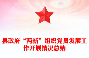 縣政府“兩新”組織黨員發展工作開展情況總結