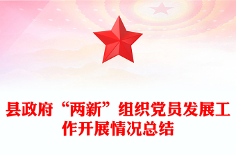 縣政府“兩新”組織黨員發(fā)展工作開展情況總結(jié)