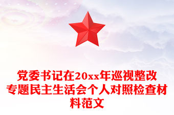 黨委書記在20xx年巡視整改專題民主生活會個人對照檢查材料范文
