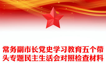 常務副市長黨史學習教育五個帶頭專題民主生活會對照檢查材料