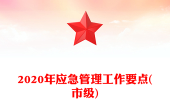 2020年應(yīng)急管理工作要點(市級)