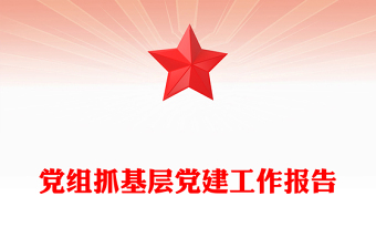 黨組抓基層黨建工作報(bào)告