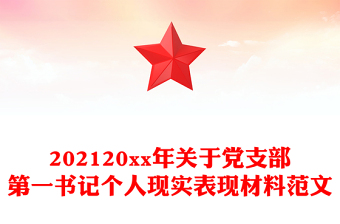 202120xx年關(guān)于黨支部第一書記個人現(xiàn)實表現(xiàn)材料范文