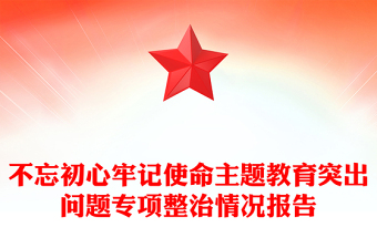 不忘初心牢記使命主題教育突出問題專項整治情況報告