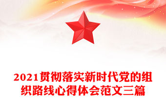 2021貫徹落實新時代黨的組織路線心得體會范文三篇