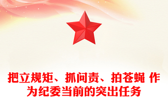 把立規(guī)矩、抓問(wèn)責(zé)、拍蒼蠅 作為紀(jì)委當(dāng)前的突出任務(wù)