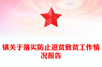 鎮關于落實防止返貧致貧工作情況報告