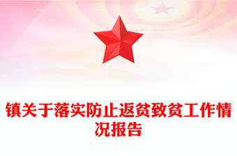 鎮(zhèn)關(guān)于落實防止返貧致貧工作情況報告