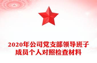 2020年公司黨支部領(lǐng)導(dǎo)班子成員個(gè)人對(duì)照檢查材料