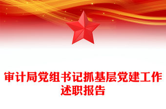 審計(jì)局黨組書記抓基層黨建工作述職報(bào)告