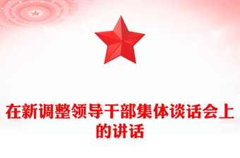 在新調(diào)整領導干部集體談話會上的講話