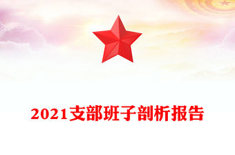 2021支部班子剖析報告