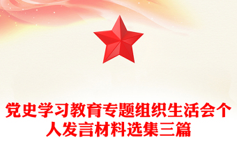 黨史學(xué)習(xí)教育專題組織生活會(huì)個(gè)人發(fā)言材料選集三篇