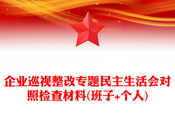企業(yè)巡視整改專題民主生活會對照檢查材料(班子+個人)